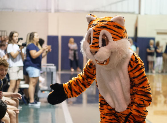 Freshman Dylan Johnson greets students dressed as the Tiger mascot. 