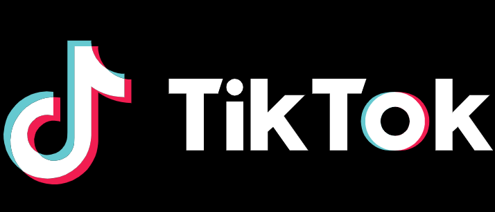 The app Tik Tok has gained over 500 million active users since 2016.