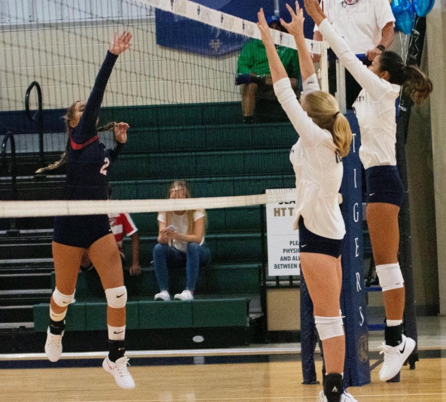 Volleyball Looks to New Season