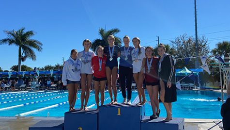 Jacobsen earns silver medal at state dive meet